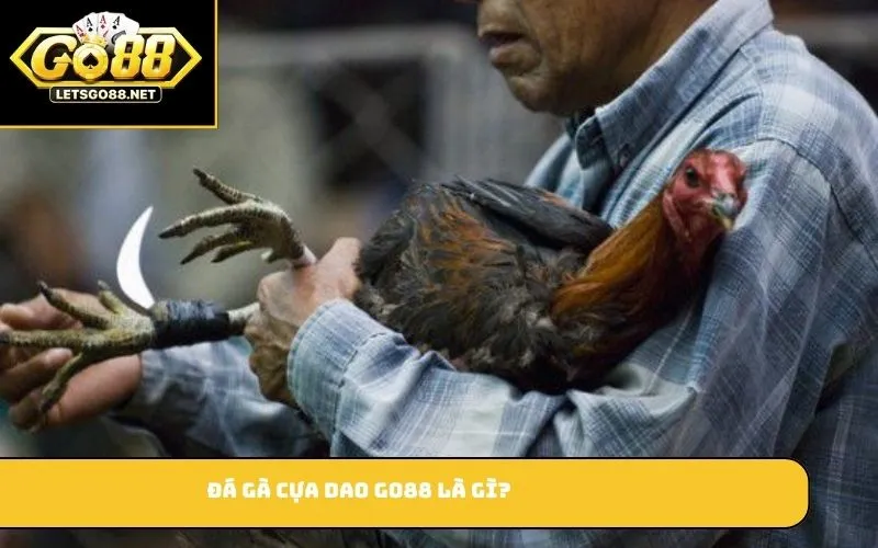 Đá Gà Cựa Dao GO88 – Trò Chơi Cá Cược Hấp Dẫn Và Kịch Tính Đá gà cựa dao GO88 là gì?