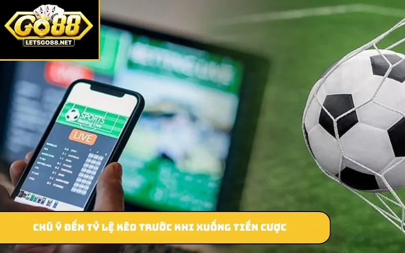 Chú ý đến tỷ lệ kèo trước khi xuống tiền cược
