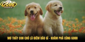 Mơ Thấy Con Chó