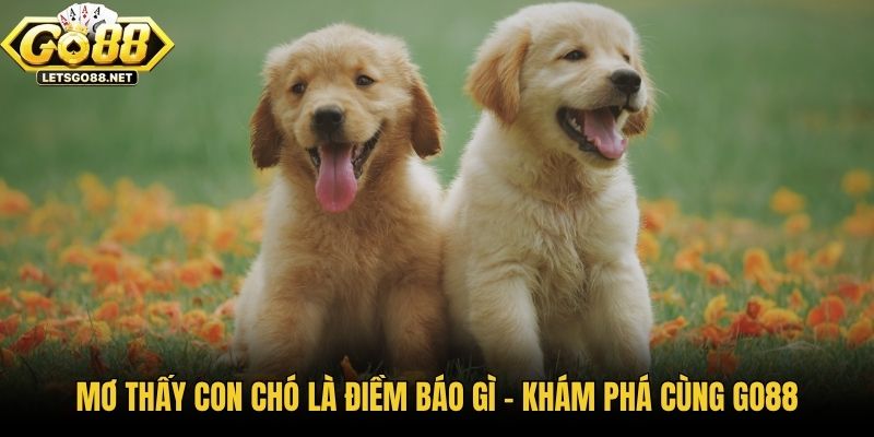 Mơ Thấy Con Chó Là Điềm Báo Gì - Khám Phá Cùng Go88 Mơ Thấy Con Chó