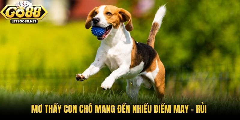 Mơ Thấy Con Chó Là Điềm Báo Gì - Khám Phá Cùng Go88 Mơ thấy con chó mang đến nhiều điềm may - rủi